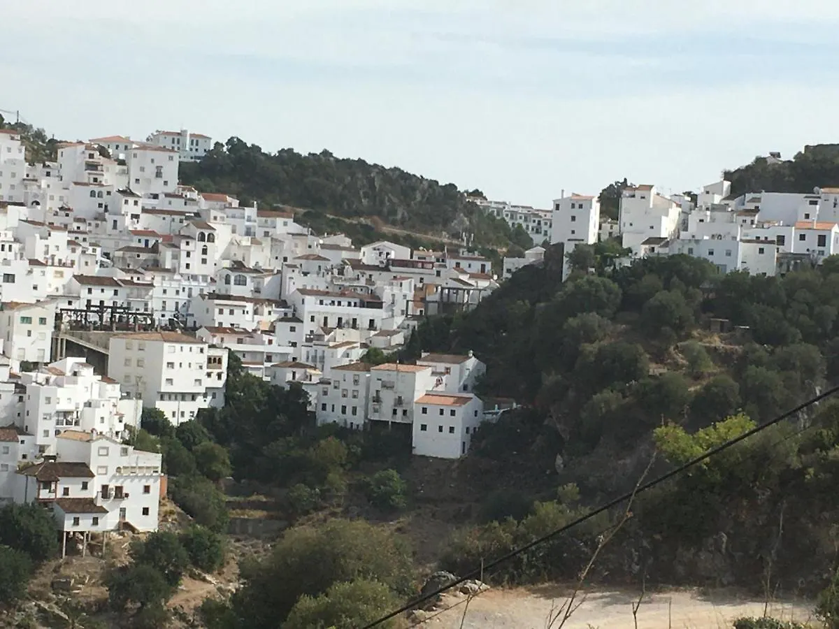 Casares Vacations Apartment