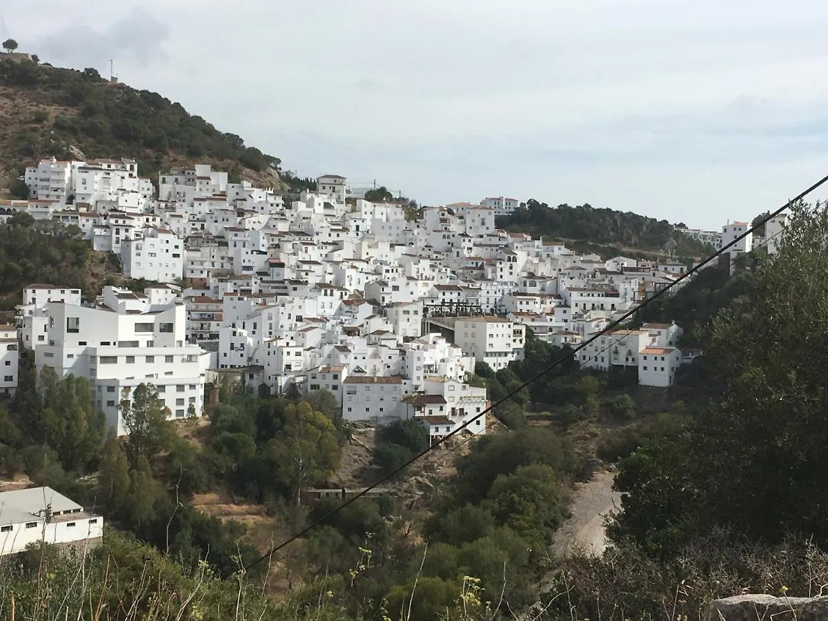 Casares Vacations Apartment